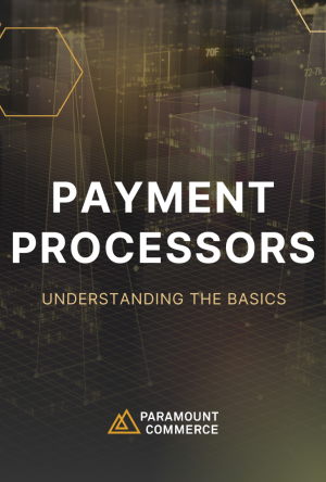 How Do Payment Processors Work? cover