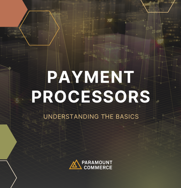 Understanding The Basics of Payment Processors cover