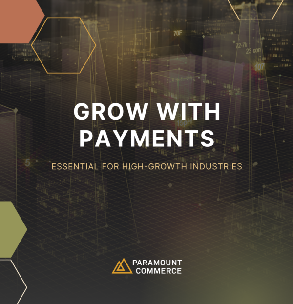 Why Payments Matter for High-Growth Businesses cover
